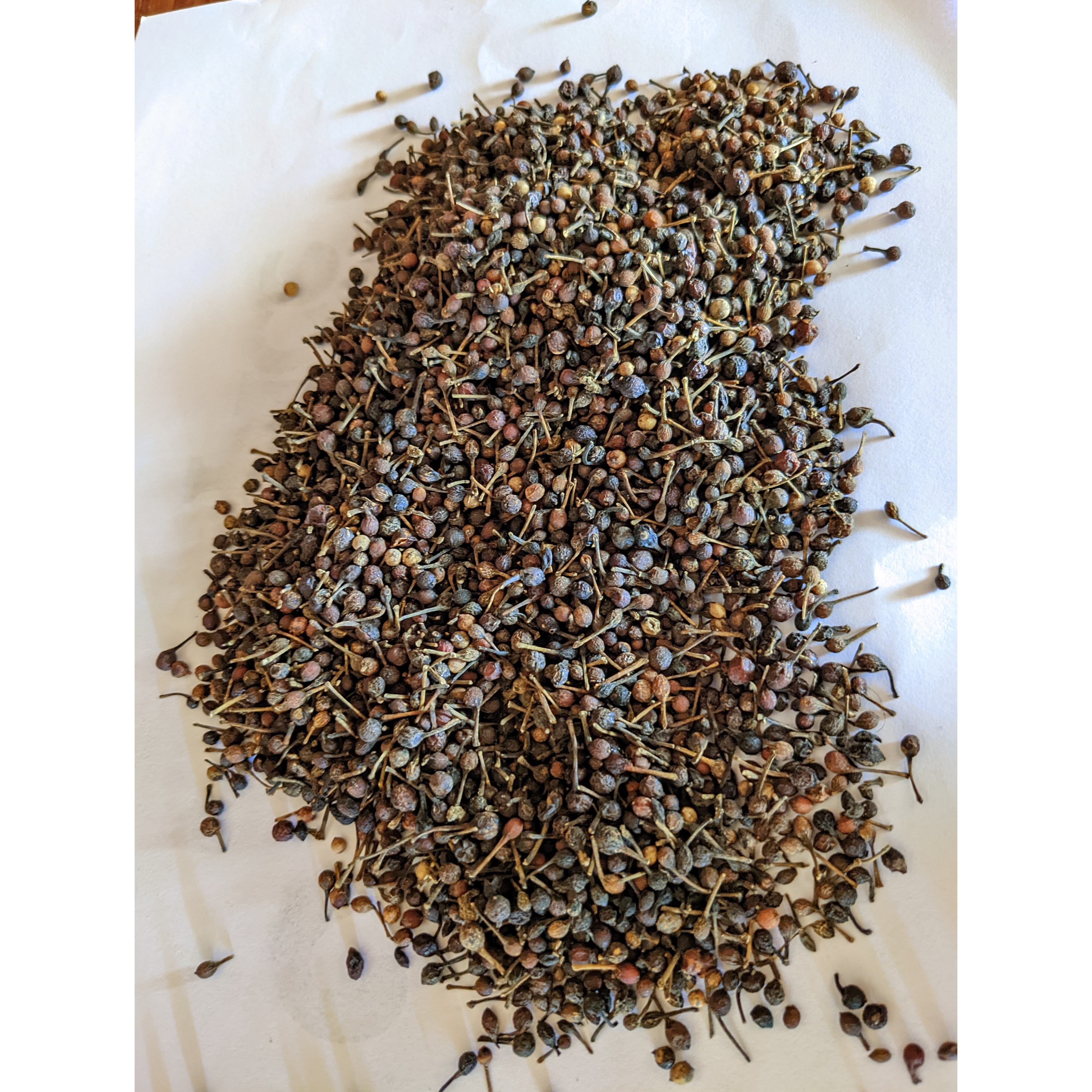 Wilder Pfeffer – 1 kg