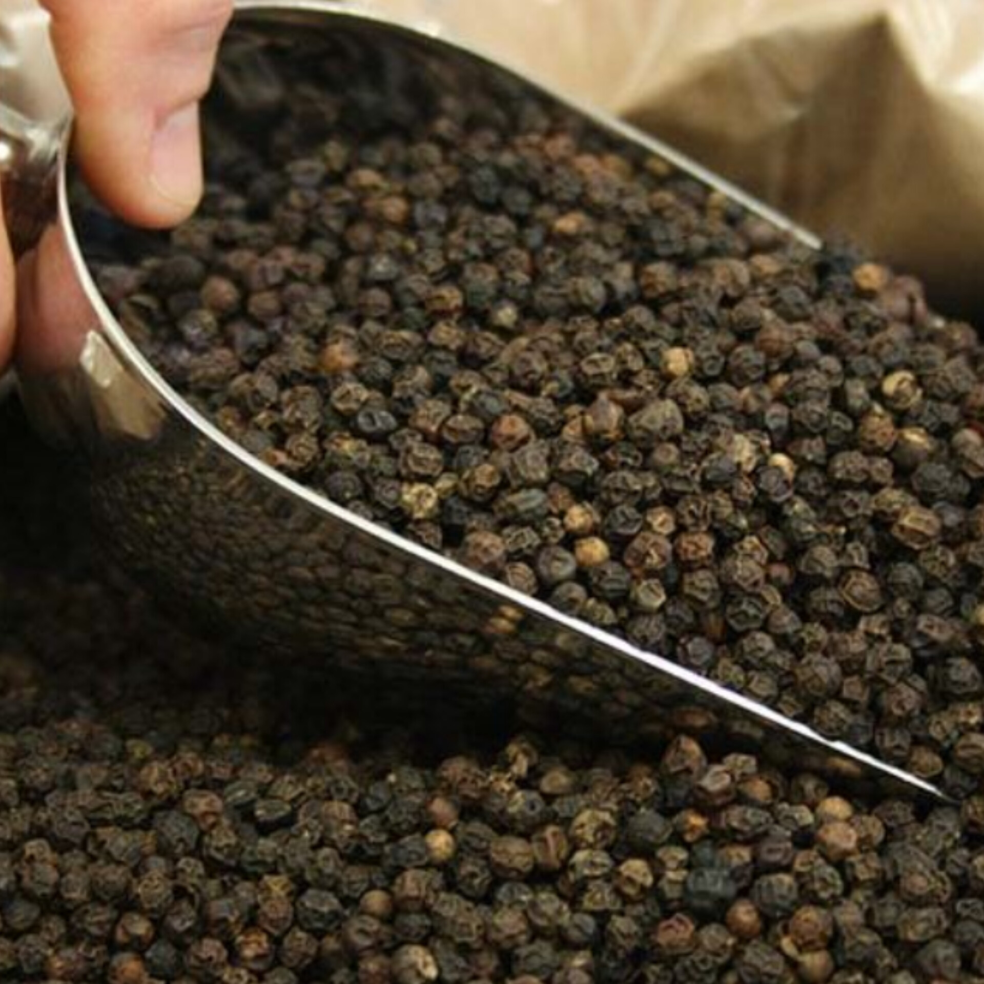 Schwarzer Pfeffer – 1 kg